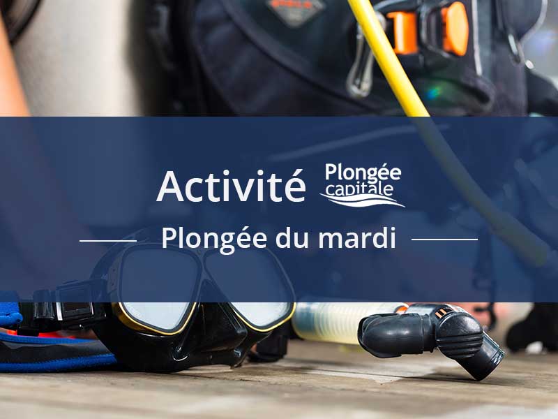 Plongée du mardi